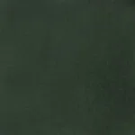 Pelisse Verde